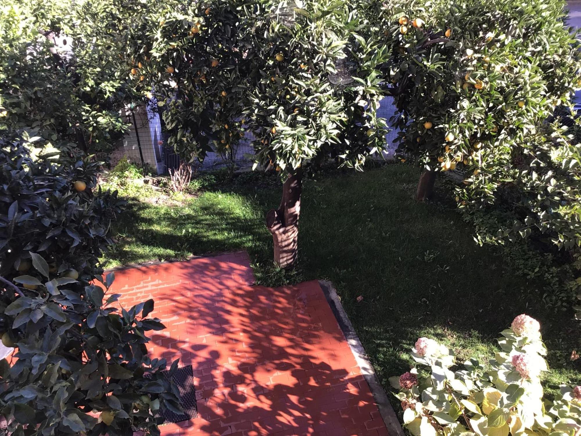 Casa Luigia Rooms Mtb In Finalborgo Bike Room Tour Ebike Trekking Finale Ligure Exterior foto